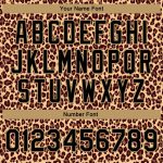 Leopard 3D Pattern Custom Bomber Jacket Full-Snap Varsity Letterman Brown Black Old Gold Custom Brown Black-Old Gold Leopard