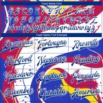 Royal-Red 3D Pattern Bomber Jacket | Custom Full-Snap Varsity Letterman Style Custom Figure Royal-Red 3D Pattern Design Bomber