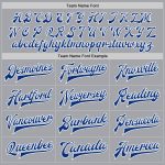 Custom Gray White Bomber Jacket Varsity Letterman Two Tone Full-Snap Custom Gray Royal-White Bomber Full-Snap Varsity Letterman