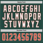 Custom Hockey Jersey - Green, Orange, and White Design for Personalized Team Spirit Custom Green Orange-White Hockey Jersey