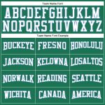 Custom Salute To Service T-Shirt - Long Sleeve Performance in Kelly Green and White-Light Blue Custom Kelly Green White-Light