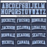 Navy Blue Light Blue White Performance Long Sleeve T-Shirt Salute to Service Custom Navy Light Blue-White Long Sleeve Performance