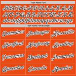 Custom Performance T-Shirt in Orange, Steel Gray, and White - Style 2561 Custom Orange Steel Gray-White Performance T-Shirt