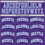 Custom Authentic Baseball Jersey in Purple and Light Blue-White Style 5440 Custom Purple Light Blue-White Authentic Baseball