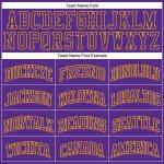 Custom Purple Gold Basketball Jersey Authentic Throwback Style 9538 Custom Purple Purple-Gold Authentic Throwback Basketball