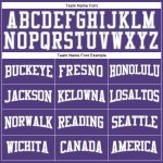 Custom Long Sleeve Performance T-Shirt in Purple White-Grey for Men and Women Custom Purple White-Gray Long Sleeve Performance
