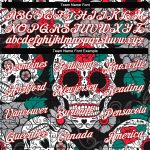 Custom Graffiti Skull White Red Fashion 3D V-Neck Cropped Baseball Jersey for Women Custom Women's Graffiti Pattern White-Red