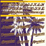 Personalized 3D Baseball Jersey Hawaii Coconut Trees Design for Men & Women Personalized 3D Hawaii Coconut Trees Baseball