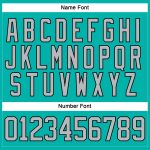 Custom Name and Number Aqua Gray-Black Hockey Jersey Lace Neck Personalized Team Apparel Personalized Aqua Gray-Black Hockey