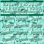 Custom Hawaii Palm Trees 3D Pattern Bomber Jacket with Personalized Name and Number in Aqua Green and White Personalized