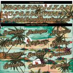 Custom Name Number Performance T-Shirt with Aqua Old Gold-Black 3D Pattern, Hawaii Palm Trees & Flowers Design Personalized