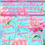 Personalized Aqua Pink White 3D Floral Performance T-Shirt for Women Personalized Aqua Pink-White 3D Flowers Performance