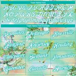 Custom 3D Pattern Hawaii Palm Trees Performance T-Shirt with Name and Number - Personalized Aqua White Design Personalized