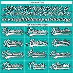 Custom Name and Number Personalized Hockey Jersey - Aqua White and Black Lace Neck Design Personalized Aqua White-Black Hockey