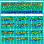 Custom Name Number 3D Baseball Jersey Personalized Aqua White Pinstripe Rainbow Navy Pink Personalized Aqua White Pinstripe