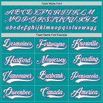Custom Name and Number Aqua White-Purple Hockey Jersey - Personalized Team Jersey Personalized Aqua White-Purple Hockey Jersey