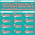 Custom Name and Number Hockey Jersey - Personalized Aqua White-Red Lace Neck Team Jersey Personalized Aqua White-Red Hockey