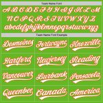 Custom Name Number Authentic Green White-Orange Aurora Baseball Jersey Team Personalized Personalized Aurora Green White-Orange