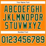 Personalized Custom Name & Number Bay Orange Green-White Baseball Jersey Authentic Team Apparel Personalized Bay Orange Green-White
