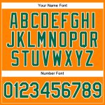 Personalized Bay Orange Green-White Baseball Jersey for Men & Women Personalized Bay Orange Kelly Green-White Baseball Jersey