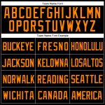 Custom Name and Number Personalized Black Bay Orange Mesh Baseball Jersey - Authentic Team Throwback Personalized Black Bay