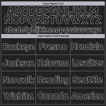 Personalized Black Gray Baseball Jersey - Customizable Sports Apparel Personalized Black Black-Gray Baseball Jersey 2