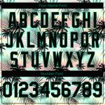 Personalized 3D Tropical Hawaii Palm Leaves Basketball Jersey in Black Kelly Green Personalized Black Black-Kelly Green 3D