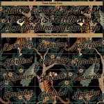 Personalized Tiger and Peacock Performance T-Shirt with Custom Name and Number in Black and Gold 3D Pattern Design Personalized