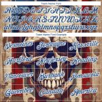 Custom American Flag Skull Performance T-Shirt - Personalized Black Crimson-Blue with Team Name and Number Personalized Black
