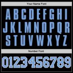 Custom Team Name Number Performance T-Shirt Black Light Blue White Personalized for Sports Personalized Black Light Blue-White