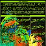 Personalized 3D Holi Festival Color Powder Performance T-Shirt in Black and Neon Green Personalized Black Neon Green 3D Holi