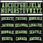 Custom Team Name Number Long Sleeve Performance T-Shirt Black Neon Green-White, Personalized for Sports & Activities Personalized
