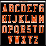 Customizable Black and Orange Elephant 3D Bomber Varsity Letterman Jacket with Personalized Name and Number Personalized