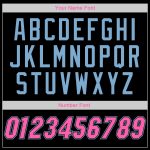 Personalized Black Pink-Light Blue Softball Jersey Custom Name Number - Authentic American Flag Design Personalized Black