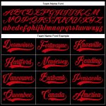 Personalized Authentic Baseball Jersey in Black and Red - Custom Name and Number Personalized Black Red Authentic Baseball