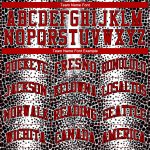 Personalized Animal Fur Print Basketball Jersey - Black Red-White Round Neck Sublimation Suit Personalized Black Red-White