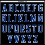 Custom Varsity Letterman Jacket with 3D Black Royal-White Bear Design, Personalized Name and Number, Full-Snap Bomber Style
