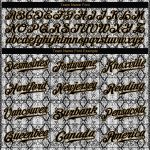 Personalized Black Snakeskin Baseball Jersey with Old Gold 3D Design - Size 2 Personalized Black Snakeskin Black-Old Gold