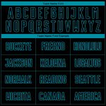 Custom Name Number Soccer Jersey Personalized Black Teal Pinstripe Fade Fashion Uniform Personalized Black Teal Pinstripe