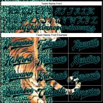 Personalized Tiger Leopard Print 3D Bomber Varsity Letterman Jacket - Black Teal Full-Snap Style Personalized Black Teal
