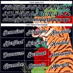 3D Pattern Design Tiger Performance T-Shirt - Personalized Black and White Apparel Personalized Black White 3D Pattern Design
