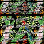 Personalized Tropical Hawaii Plant and Bird 3D Pattern T-Shirt, Black and White Performance Wear Personalized Black White