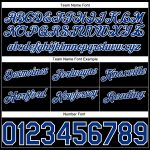 Custom Name Number Authentic Basketball Shorts Black White Pinstripe Royal White Team Design Personalized Black White Pinstripe