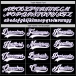 Personalized Black Purple Hockey Jersey - Custom Sports Apparel for Fans Personalized Black White-Purple Hockey Jersey 2