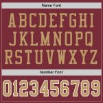 Custom Name Number Personalized Burgundy Old Gold White Football Jersey Authentic Throwback Mesh Team Jersey Personalized