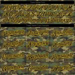 Personalized Black Gold Camo Salute to Service Baseball Jersey for Men Personalized Camo Black-Gold Salute To Service Baseball