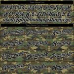 Personalized Black-Gray Camo Authentic Salute To Service Baseball Jersey Personalized Camo Black-Gray Authentic Salute To