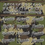 Personalized Black-White Camo 3D Bomber Varsity Jacket Salute to Service Full-Snap Letterman Personalized Camo Black-White