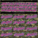 Light Blue Pink Camo Personalized Salute To Service Baseball Jersey 2 Personalized Camo Light Blue-Pink Salute To Service