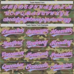 Custom Name Number Camo Light Blue-Pink Unisex Softball Jersey Personalized Salute To Service Two-Button Design Personalized